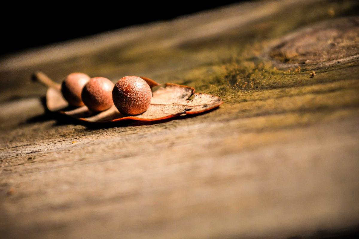 Bocor Alus! Duo HP Baru Motorola Moto G67 & G77 Siap Sikat Game Mobile Budget, Cek Speknya!