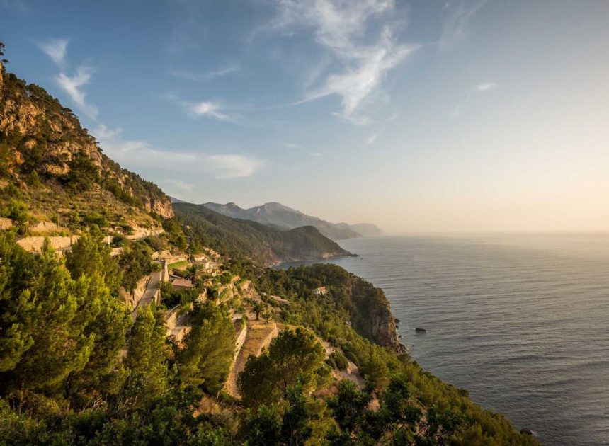 Bocor Alus! Duo HP Baru Motorola Moto G67 & G77 Siap Sikat Game Mobile Budget, Cek Speknya!