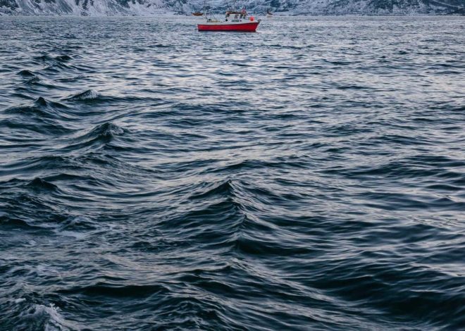 Bocor Alus! Duo HP Baru Motorola Moto G67 & G77 Siap Sikat Game Mobile Budget, Cek Speknya!