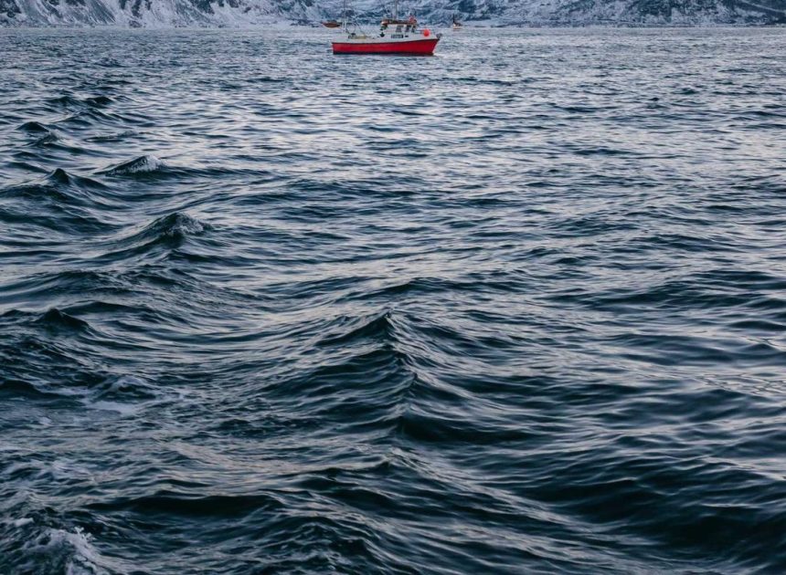 Bocor Alus! Duo HP Baru Motorola Moto G67 & G77 Siap Sikat Game Mobile Budget, Cek Speknya!