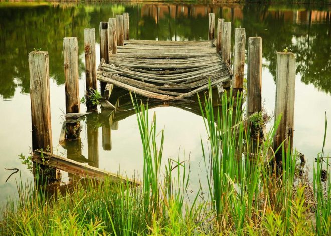 Bocor Alus! Duo HP Baru Motorola Moto G67 & G77 Siap Sikat Game Mobile Budget, Cek Speknya!