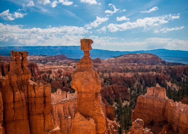 Bocor Alus! Duo HP Baru Motorola Moto G67 & G77 Siap Sikat Game Mobile Budget, Cek Speknya!