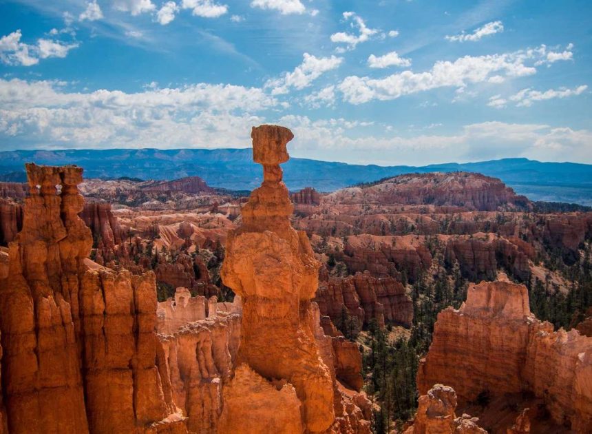 Bocor Alus! Duo HP Baru Motorola Moto G67 & G77 Siap Sikat Game Mobile Budget, Cek Speknya!