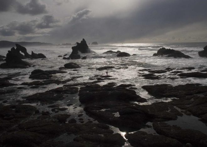 Nokia Tengah Kembangkan Budget Smartphone Baru