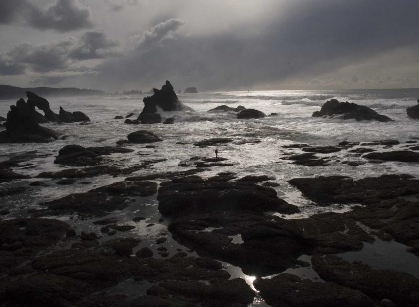 Nokia Tengah Kembangkan Budget Smartphone Baru