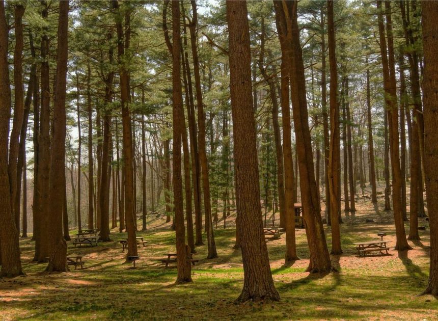 Bocor Alus! Duo HP Baru Motorola Moto G67 & G77 Siap Sikat Game Mobile Budget, Cek Speknya!