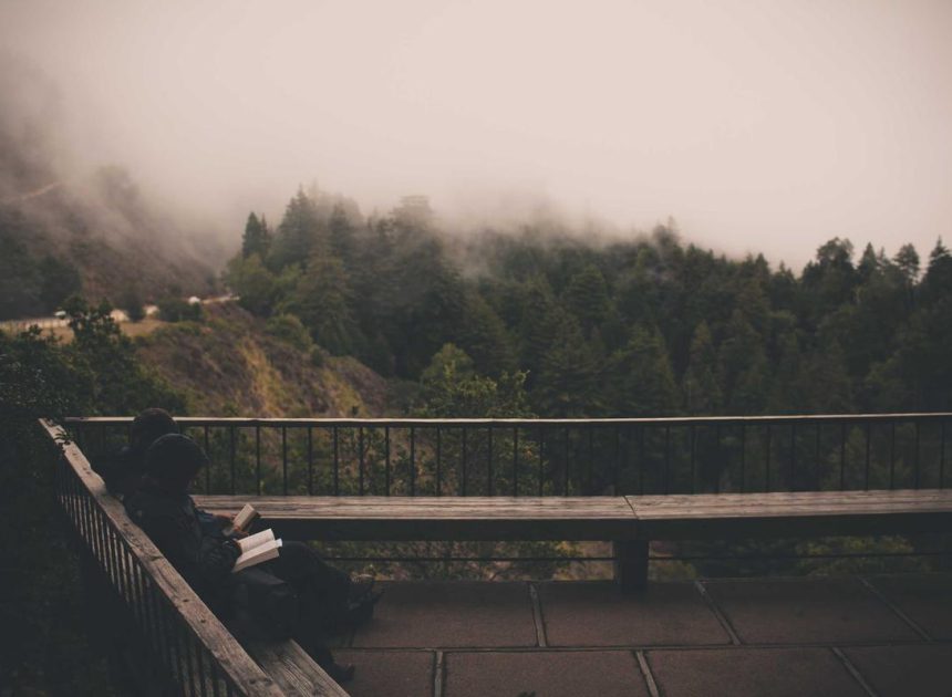 Bocor Alus! Duo HP Baru Motorola Moto G67 & G77 Siap Sikat Game Mobile Budget, Cek Speknya!