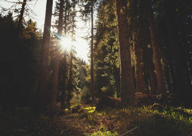 Bocor Alus! Duo HP Baru Motorola Moto G67 & G77 Siap Sikat Game Mobile Budget, Cek Speknya!